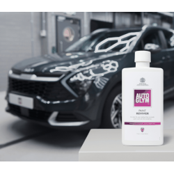 Paint Reviver - Oživovač laku a farby 500ml